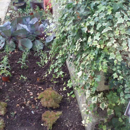 Rosdarrig Bed & Breakfast Boyle