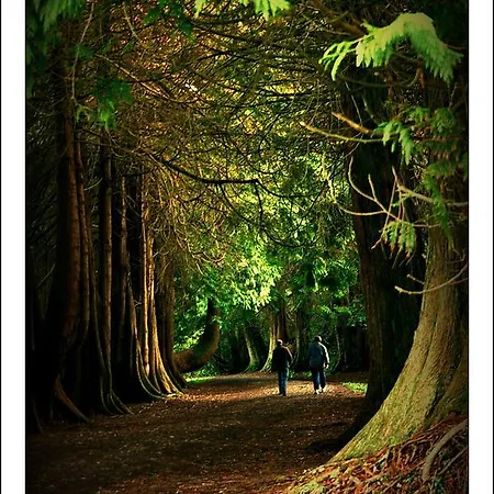 Bed & Breakfast Rosdarrig