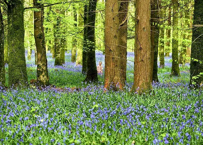 Rosdarrig 住宿加早餐酒店 波伊尔