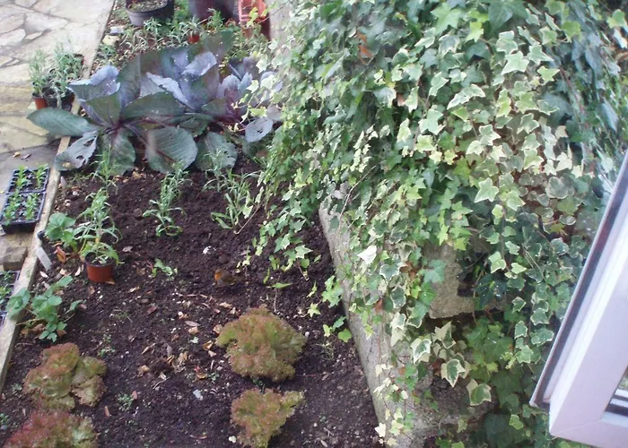 Rosdarrig Bed & Breakfast Boyle