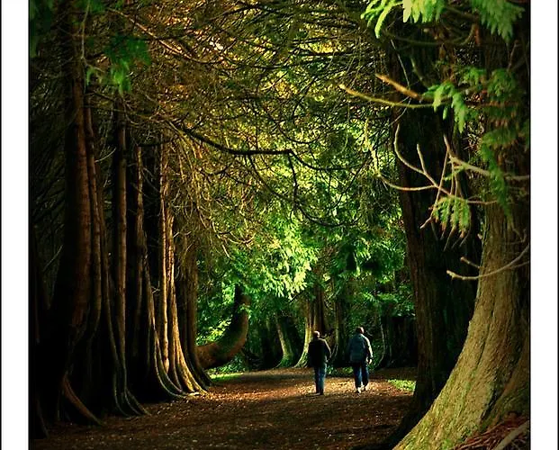 住宿加早餐酒店 Rosdarrig